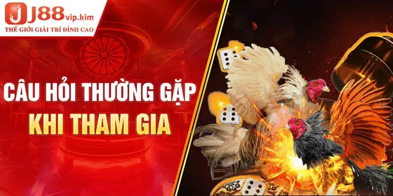 Câu hỏi thường gặp khi tham gia 