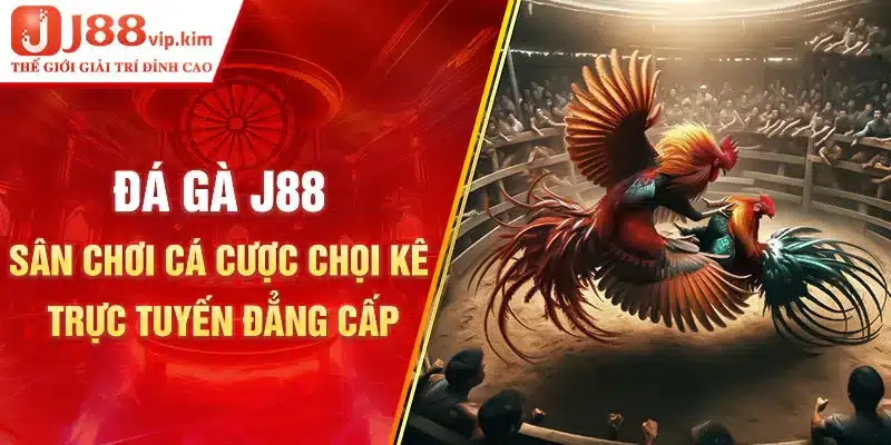 Đá gà J88 - Sân chơi cá cược chọi kê trực tuyến đẳng cấp