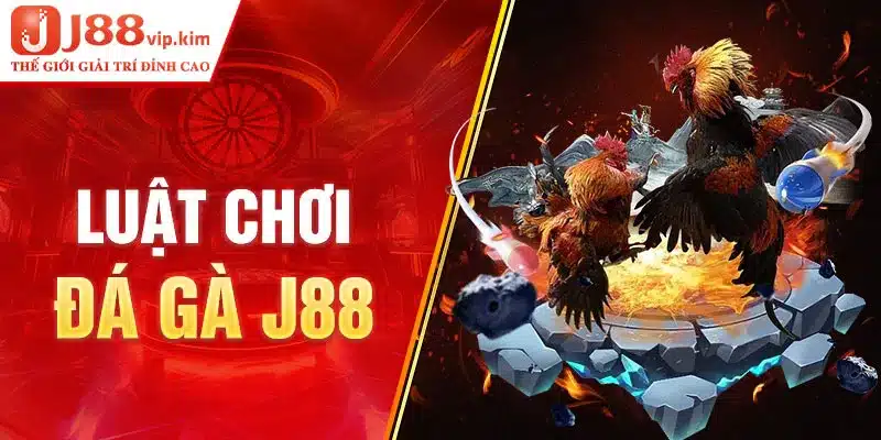 Luật chơi đá gà J88