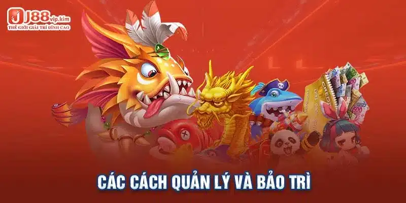 Các cách quản lý và bảo trì