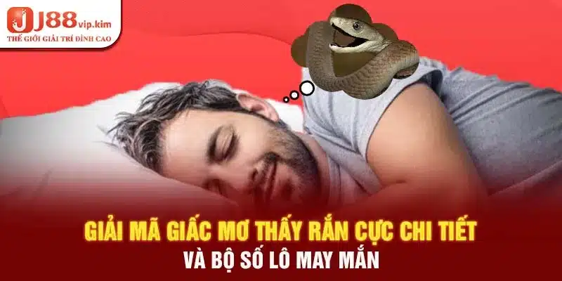 Giải Mã Giấc Mơ Thấy Rắn Cực Chi Tiết và Bộ Số Lô May Mắn