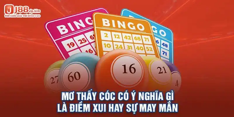 Mơ thấy cóc có ý nghĩa gì là điềm xui hay sự may mắn 